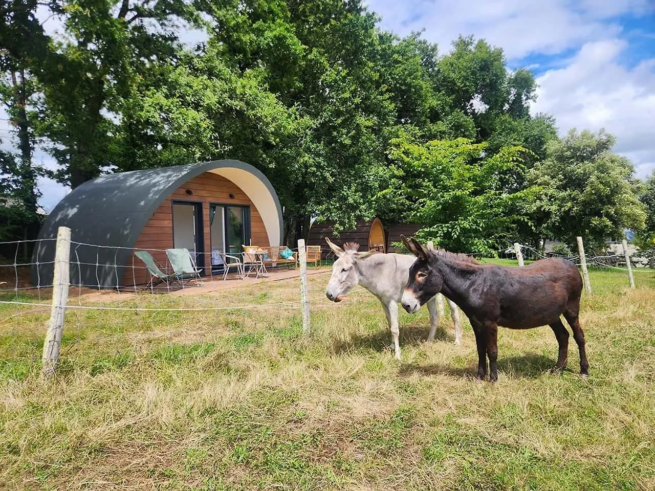 Gites & Tiny Houses Les Hauts De Toulvern Baden Appartement